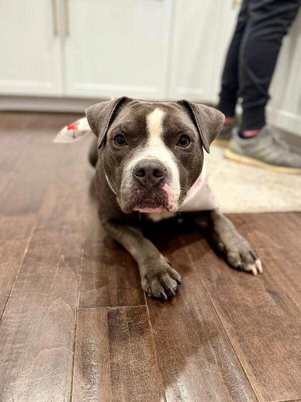 596820070 10113164020419565 1223506696260905264 n