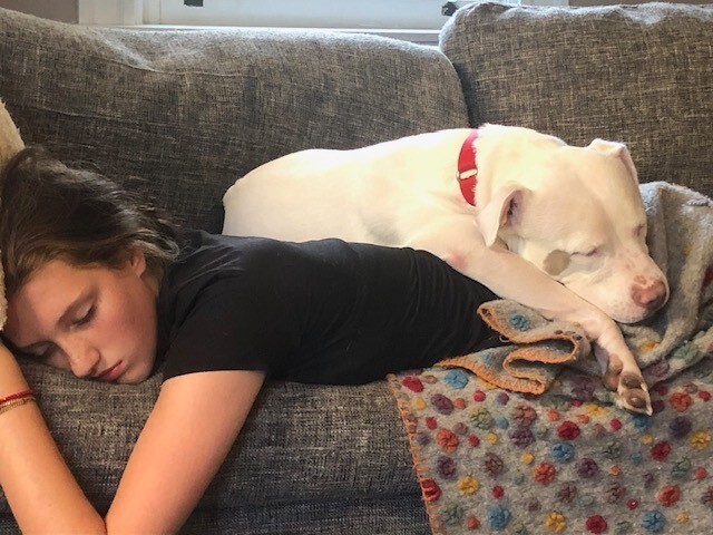 View Peatree the Dog Photo #5