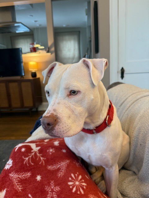 Learn More About Peatree 600276489 122157061556665691 4157143801526152676 n