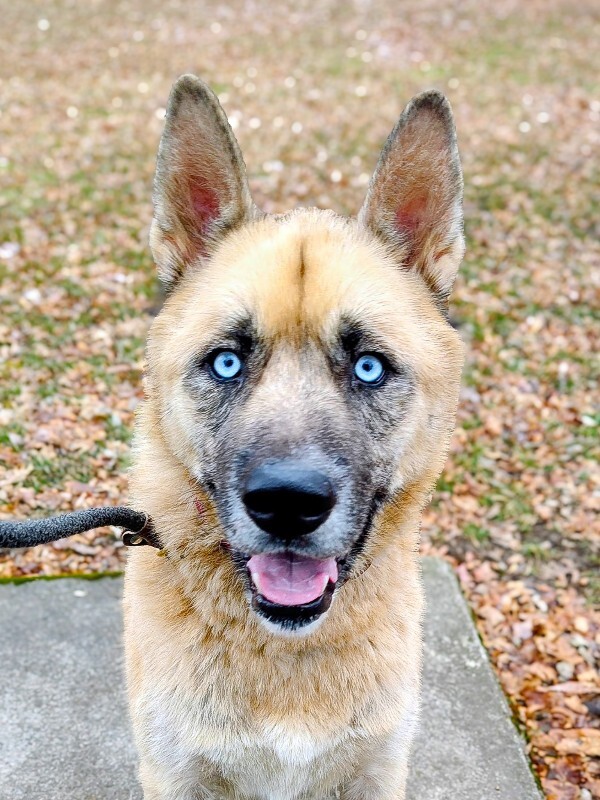 IMG 20251211 121730464~2 2