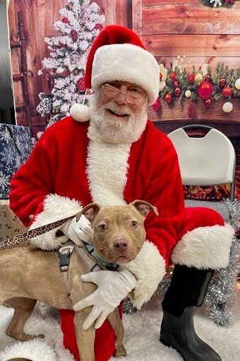 View Power Run the Dog Photo #2