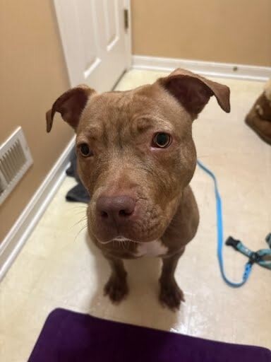 Learn More About Power Run powerrun2