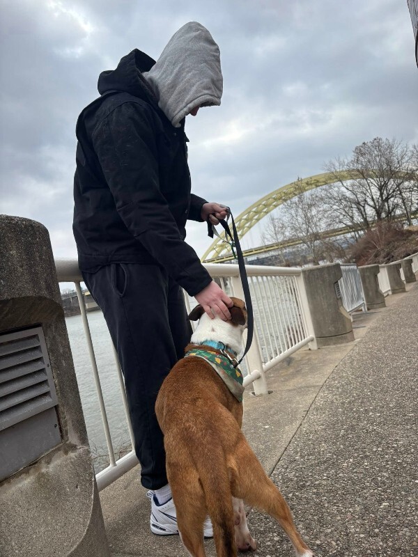 View Donny the Dog Photo #14