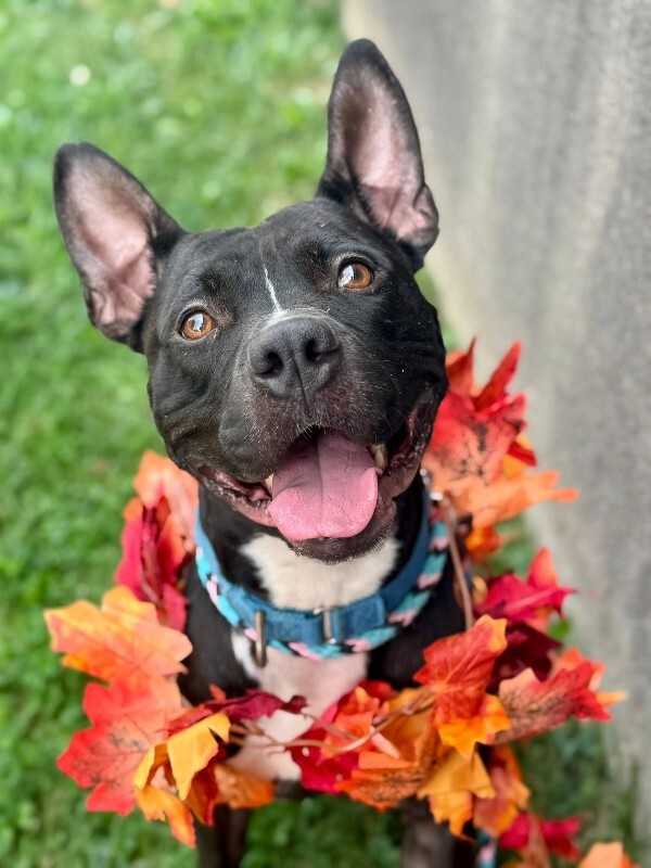 550233422 10108808885964193 9049717438991476106 n