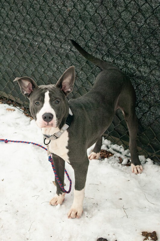 Learn More About Jax IMGP7225 Enhanced NR