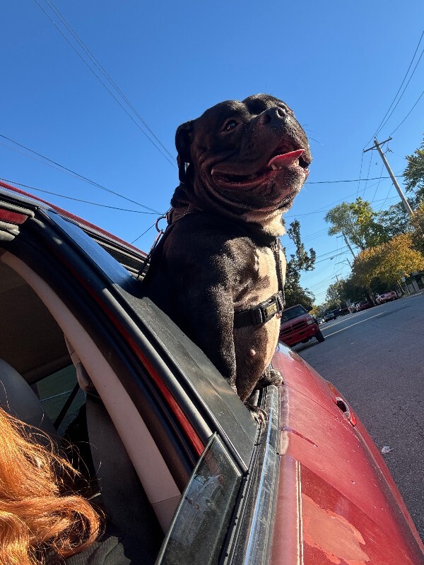 Fiona