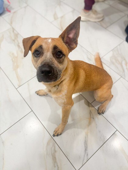 Learn More About Baby Jane fcbbbfce ab63 4df3 b75e 82735e4fdf02