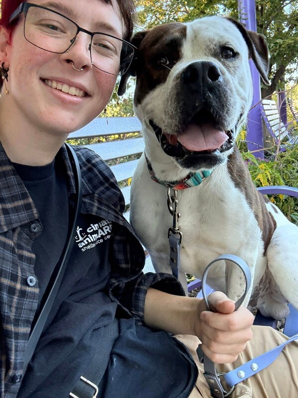 View Recess the Dog Photo #11