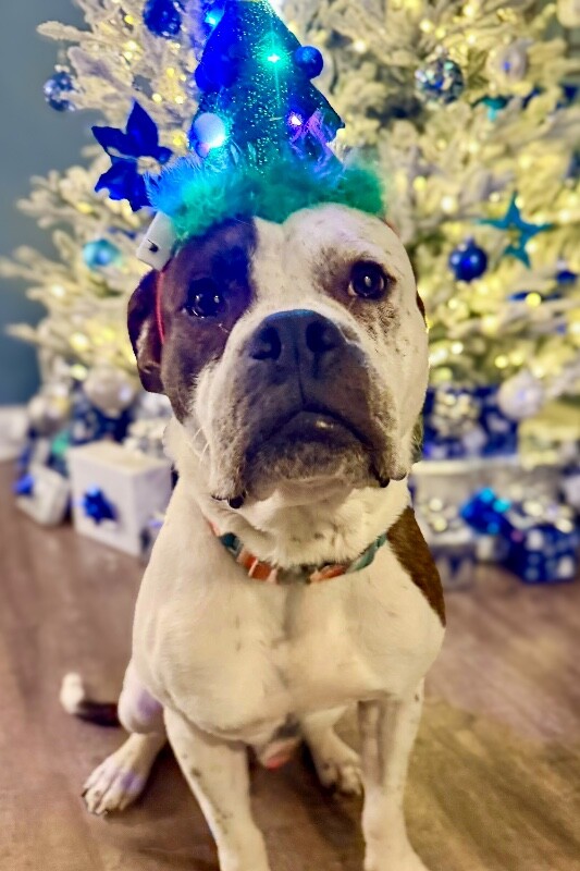 602920381 10163508210184471 3835715228559127592 n 2