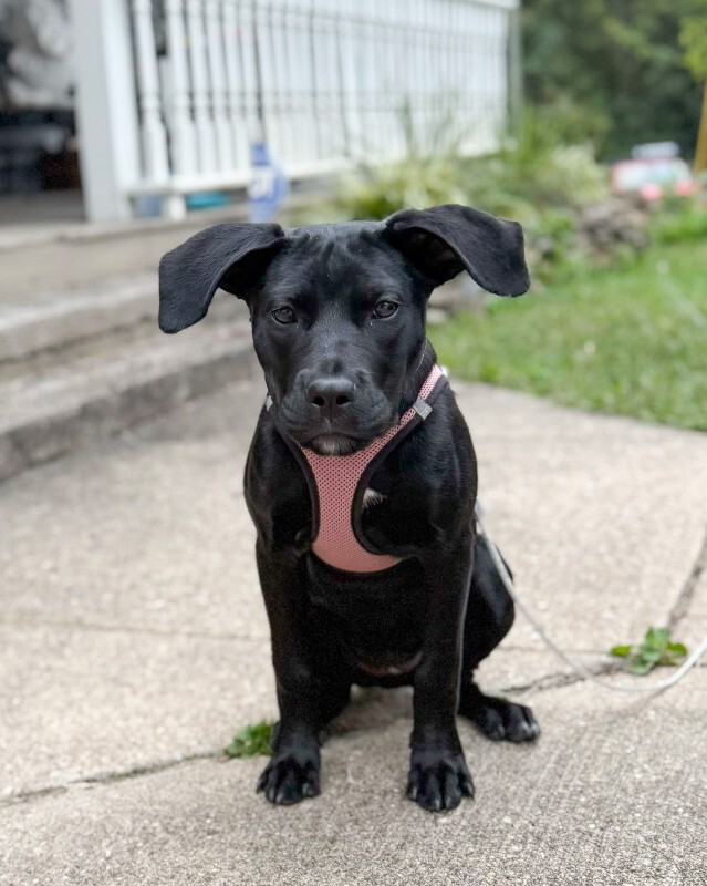 703FB9C2 E8C6 43BA 9487 A863FA18C4D9