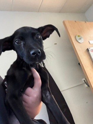 8ff4e410 7631 4e86 a747 418ecea8ab57