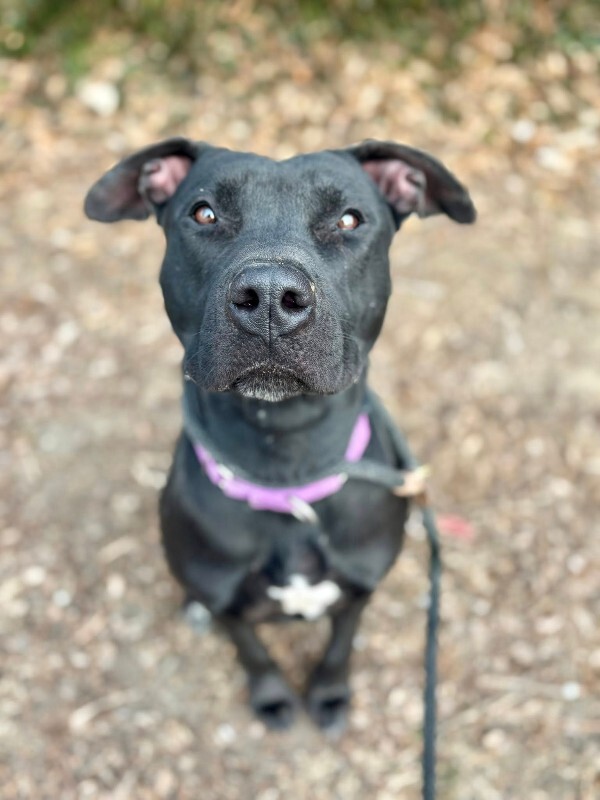 622803464 10130357457289165 3711909636716788608 n