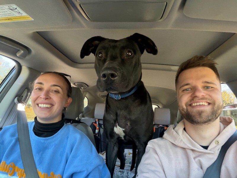 View Redbull the Dog Photo #6