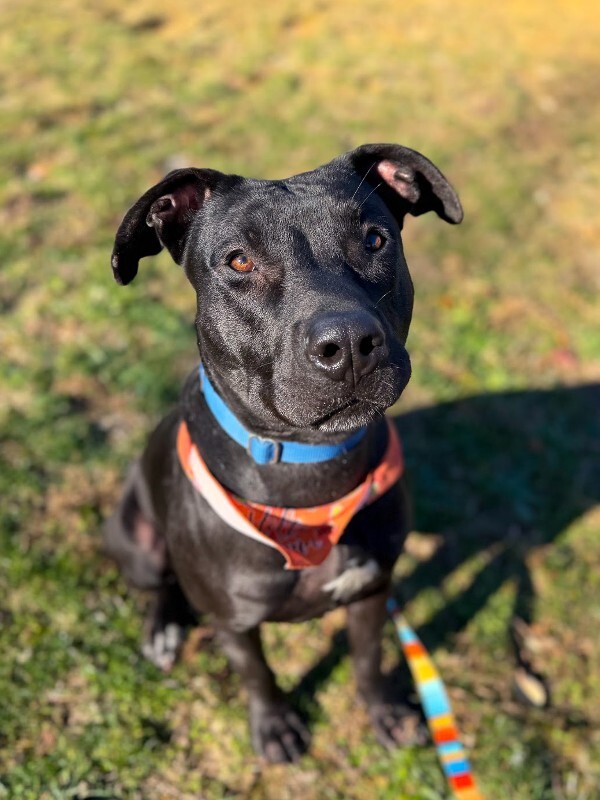 Learn More About Redbull IMG 4489 2