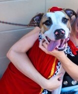 View Nick Chubb the Dog Photo #3