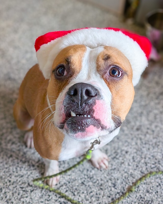 PXL 20251203 205605781 2