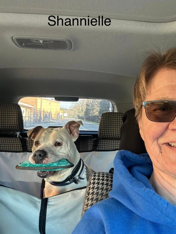 View Shannielle the Dog Photo #13