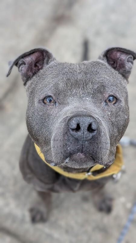 PXL 20251228 182342195.PORTRAIT