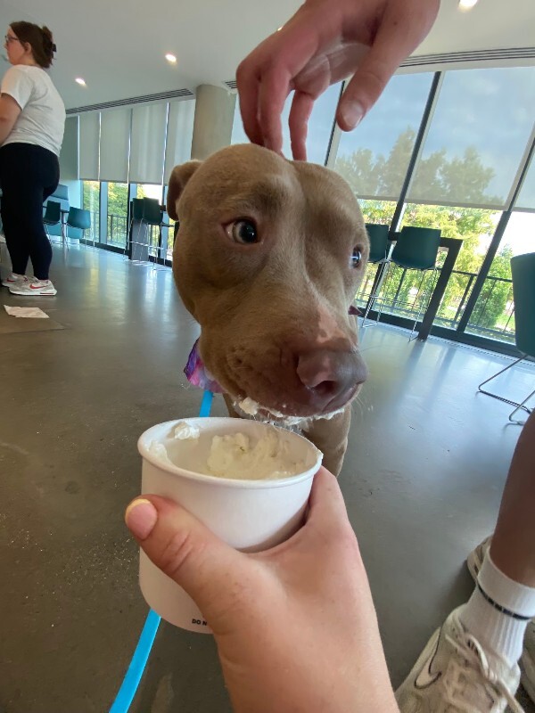 View Pecan the Dog Photo #9