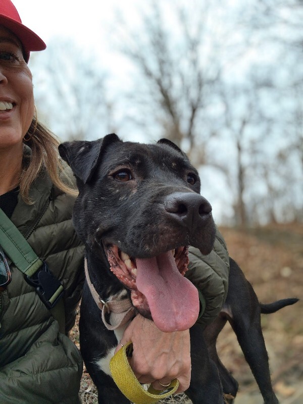 View Pipette the Dog Photo #11