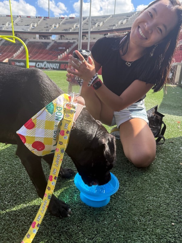 View Pipette the Dog Photo #6