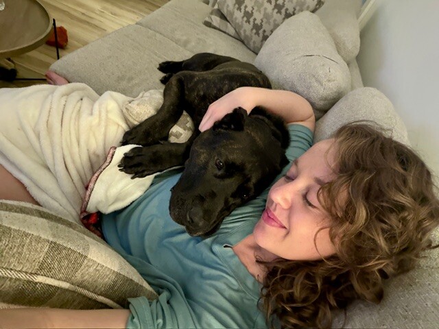 View Batgirl the Dog Photo #2