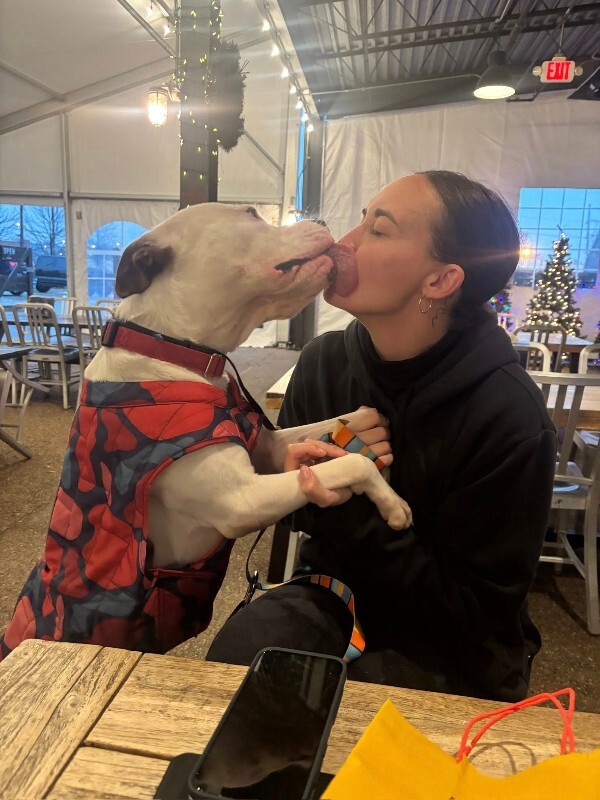 View Radagast the Dog Photo #3