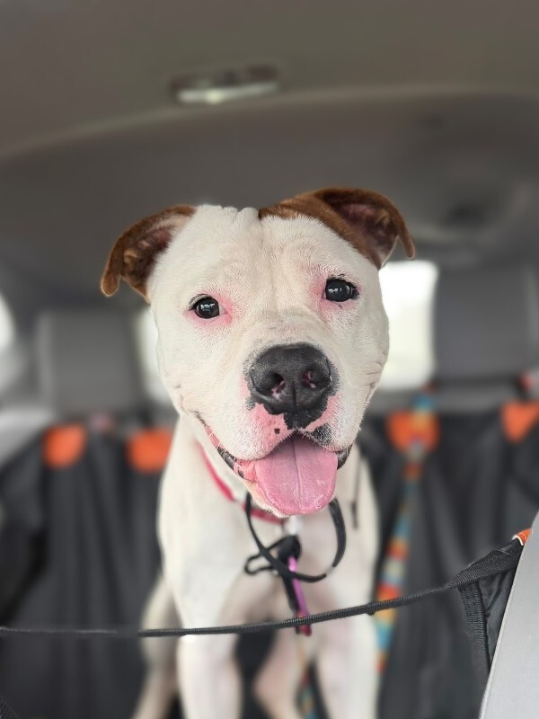 600979458 122146978058712597 5858472098259836575 n 2