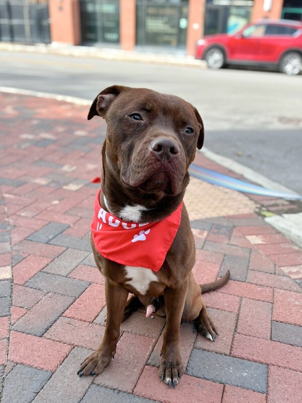 581532952 10235567733046666 1072646491917817203 n 2