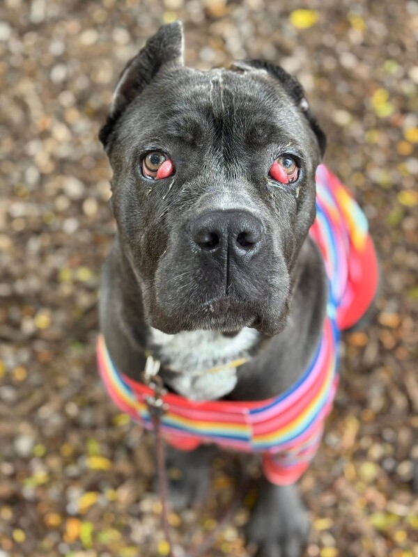 587845168 122143128032945692 5434810836558699107 n (1)