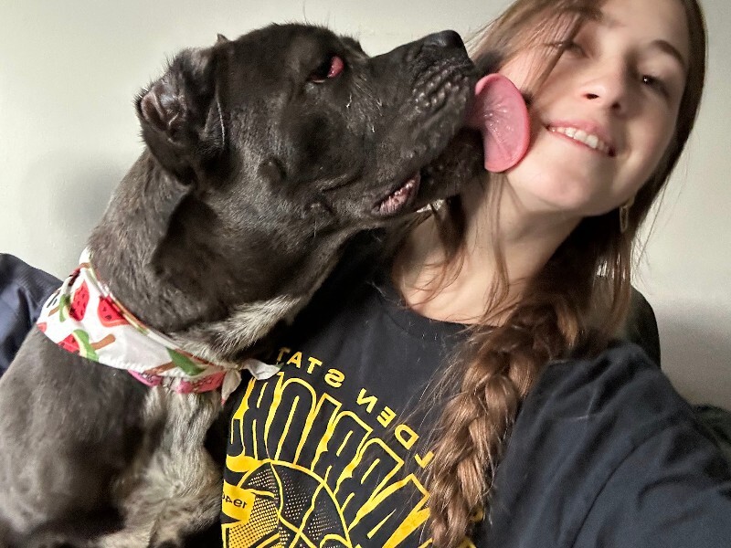 View Dobbins the Dog Photo #12