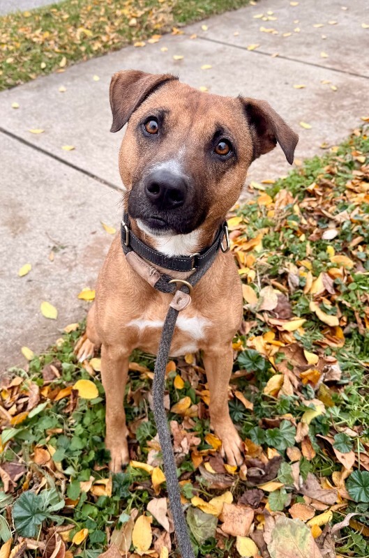 Learn More About Pocus IMG 5364