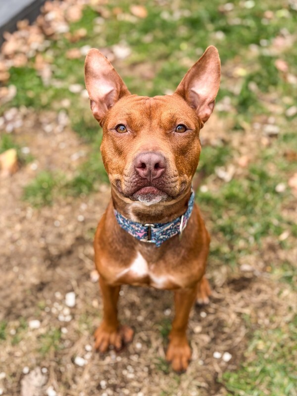 587797906 18420990121112401 5994543173683926421 n