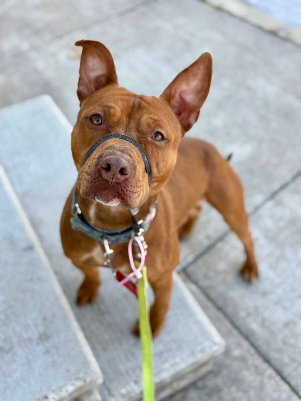 611319100 10130099174724495 5934905457485348862 n