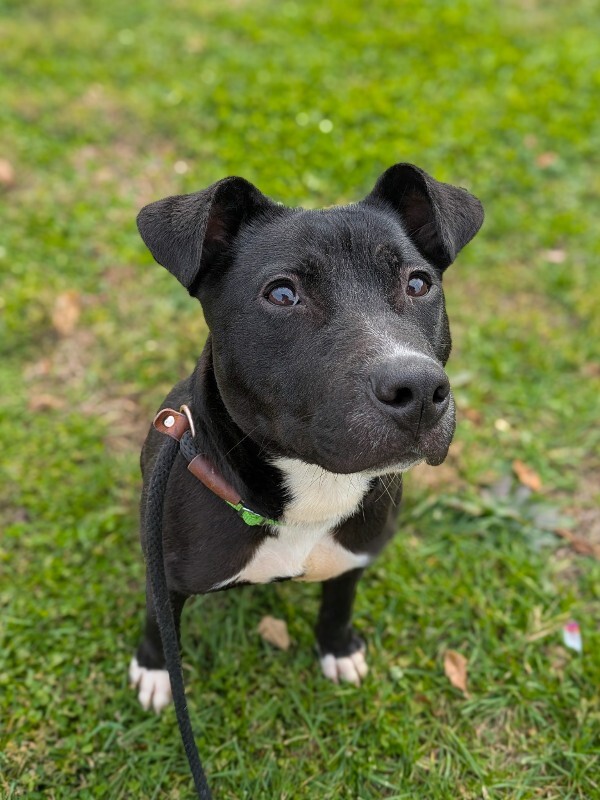 Learn More About Myers PXL 20251207 162231902 2