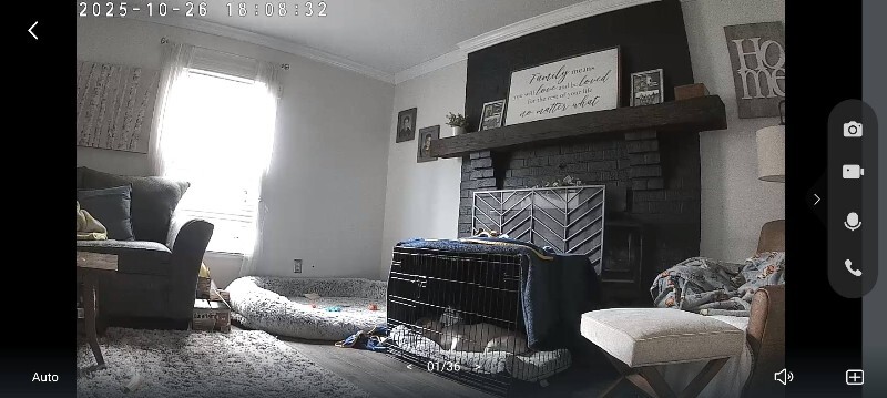 View Gust the Dog Photo #7