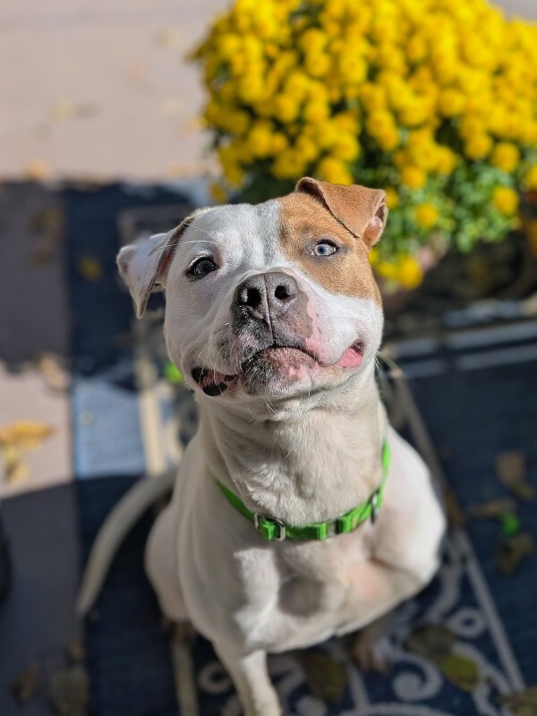 571159337 821232887285435 6678110235538289680 n 2