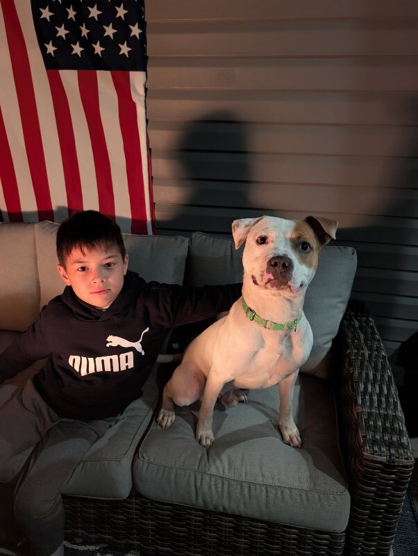 View Gust the Dog Photo #4