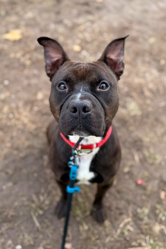 597127956 4088719971438822 4175306335403296035 n