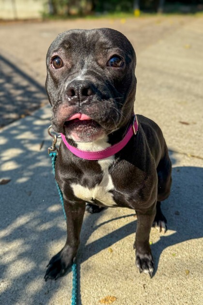 Learn More About Lumen 3a706625 2ada 4474 99e0 f005348bc9dd