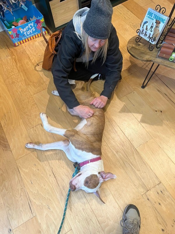 View Braylon the Dog Photo #6