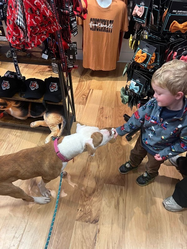 View Braylon the Dog Photo #7