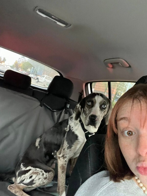 View Coors Banquet the Dog Photo #5