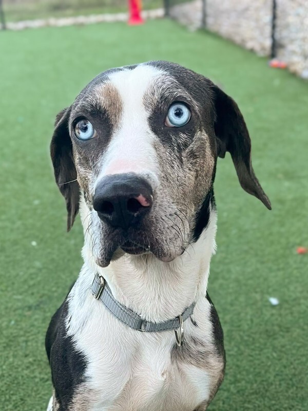 Learn More About Coors Banquet 610915495 3349417668547104 6253969984825738096 n 2