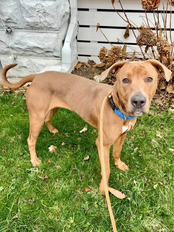 Learn More About Ophena 607484680 10130000796155935 9109476225793035366 n