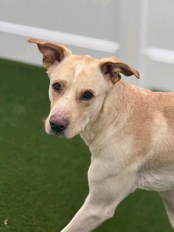 594044243 122186587946514634 2895356726788054016 n