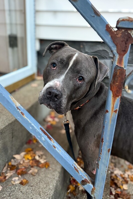 605431141 10242252097544634 473221174942488033 n