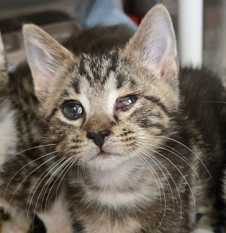 Learn More About Candlewax 1000044569