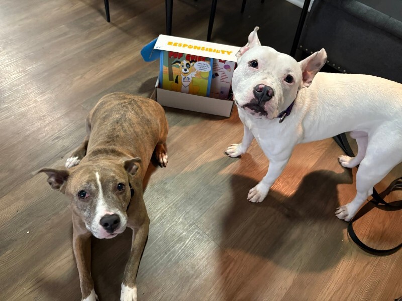 View Cotton the Dog Photo #2