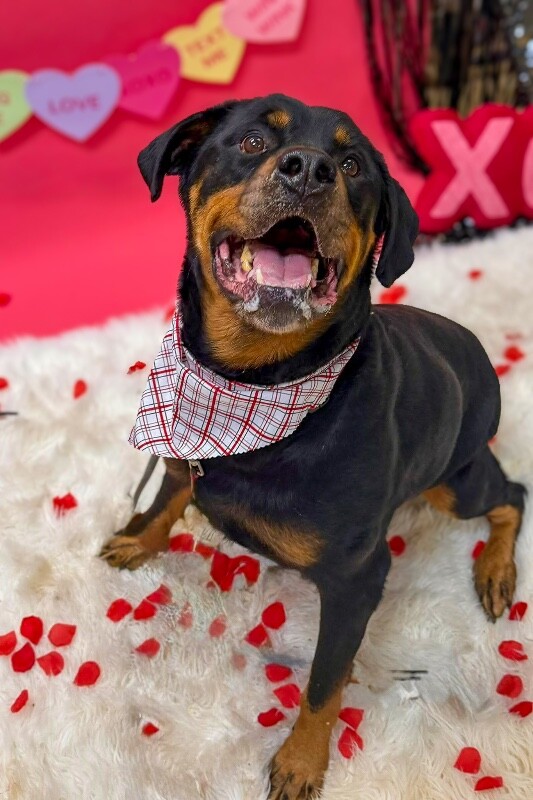 Learn More About Herbert 615940897 803454549414594 5178171402340630819 n